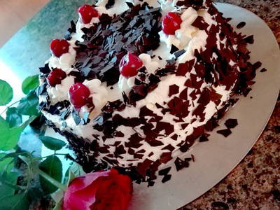 Bild 11 aus  Schweizermichelhof