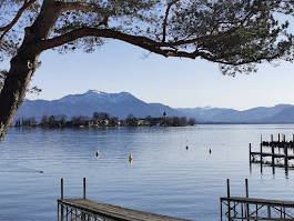 Bild 49 aus  Frankhof