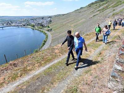 Bild 8 aus  Ferienwohnung Weingut Mathy Schanz