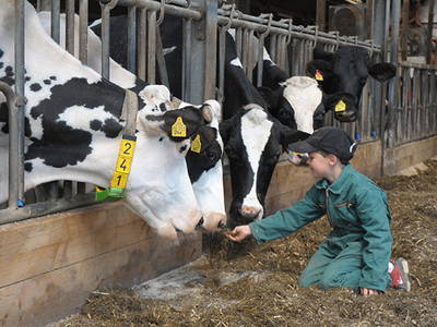 Bild 7 aus  Bernis Ferienhaus