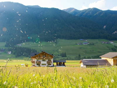 Bild 3 aus  Untersieglerhof