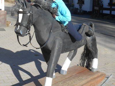 Bild 63 aus  Ferienhof Pulte