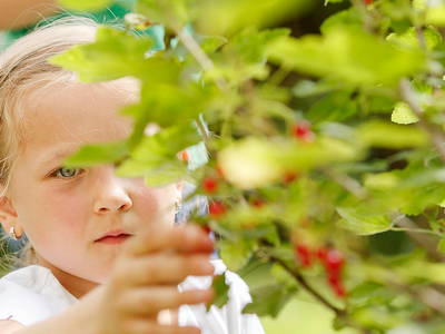 Bild 12 aus  Ferienhof Weltenburg