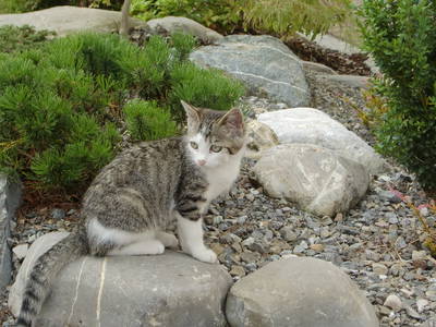 Bild 26 aus  Haus Sonnenschein