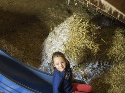 Bild 26 aus  Ferienhof Heute Mühle