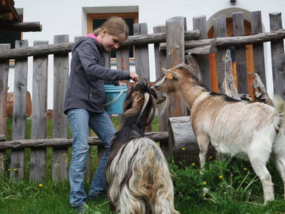 Bild 15 aus  Rieplechnhof