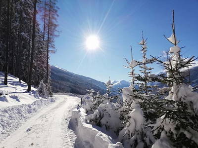 Bild 15 aus  Much's Bergstüberl