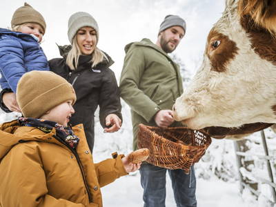 Bild 34 aus  LandSelection Moierhof am Chiemsee - Ferienhof des Jahres