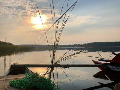 Bild 39 aus  Biber Ferienhof