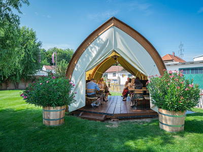 Bild 47 aus  Winzerhof Küssler, Weinviertel