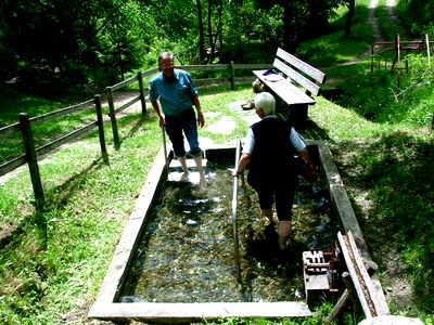 Bild 58 aus Bio- und Vitalbauernhof Bacherhof
