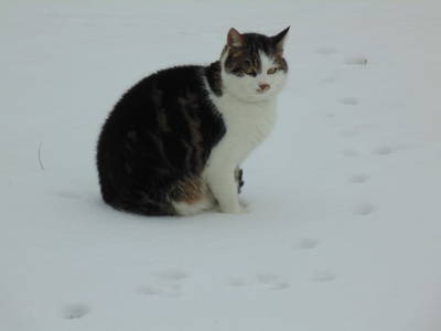 Bild 38 aus  Schmankerl und Gast Heiderer