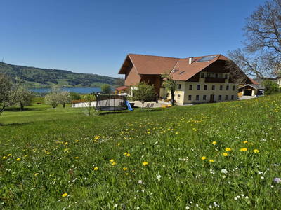 Bild 2 aus  Ferienhof Edtmeier 