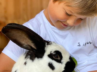 Bild 9 aus  Ederbauer