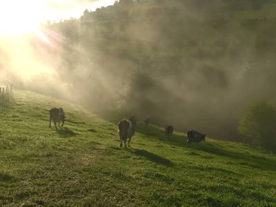 Bild 63 aus  Hinteregger