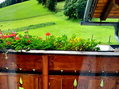 Bild 16 aus Almhaus Perfler