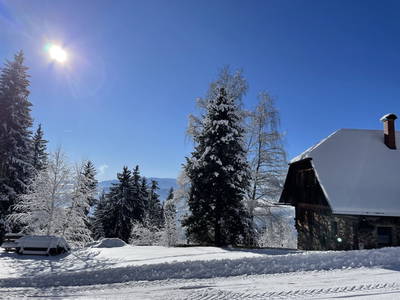 Bild 24 aus Almhaus Bachler