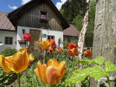 Bild 2 aus  Ferienhaus Lenzau