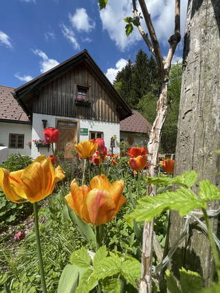 Ferienhaus Lenzau aus Göstling an der Ybbs