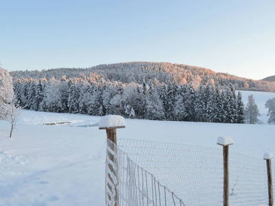 Bild 79 aus  Pircherhof - Adults Only am Biobauernhof