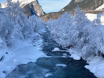 Bild 110 aus  Ferienbauernhof Kohler