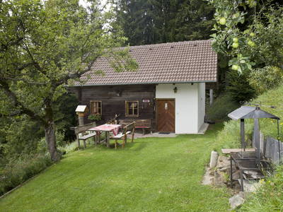 Bild 9 aus  Schoberkogelhütte