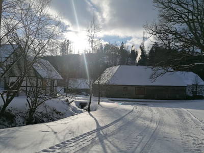 Bild 54 aus  Gut Frielinghausen