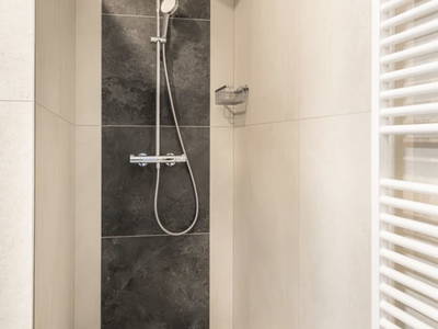 Bild 120 aus  Klinglerbauer