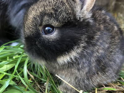 Bild 32 aus  Hochhuber