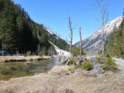 Bild 35 aus  Biobauernhof Tonimörtl