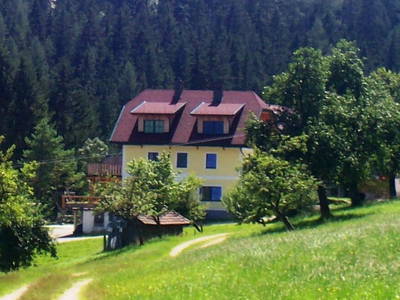 Bild 23 aus  Trialhof Schaureith