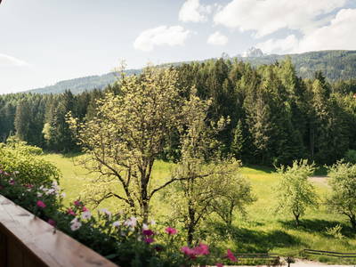 Bild 20 aus Edenhauserhof