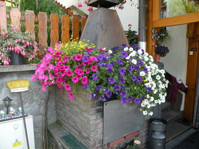 Bild 42 aus  Kollmannbauer