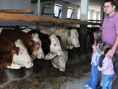 Bild 6 aus  Hofbauer - Ihr Urlaubsbauernhof am Chiemsee