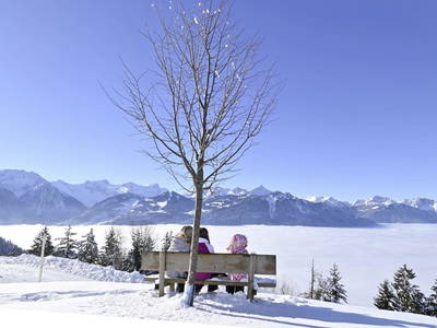 Bild 38 aus  Berghof