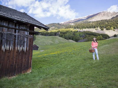 Bild 71 aus  Haus Bernardes