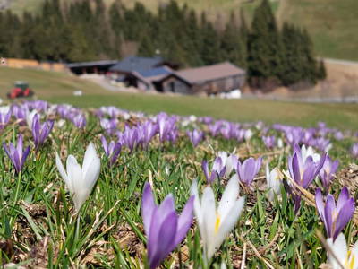 Bild 31 aus  Oberhaidbachhof