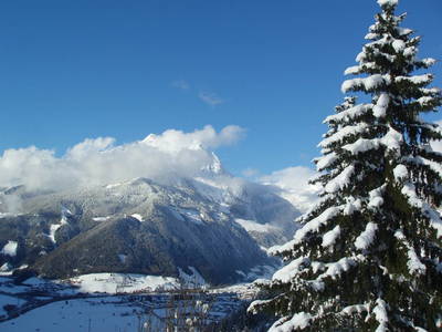 Bild 41 aus  Ferienhaus Kerschbaumerhof