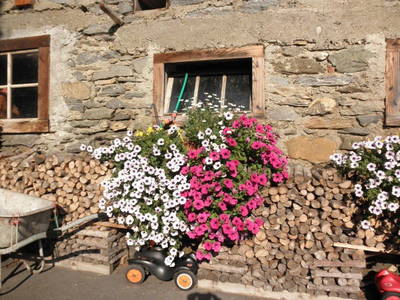 Bild 42 aus  Bio- und Kinderbauernhof Voglbach