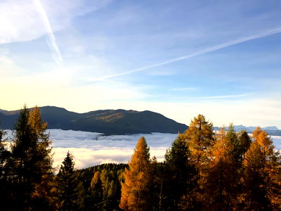 Bild 25 aus Almhütte Kärnten - Almhütte Troadkasten Stubeck