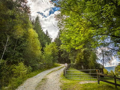 Bild 37 aus  Bio Chalet Sonne