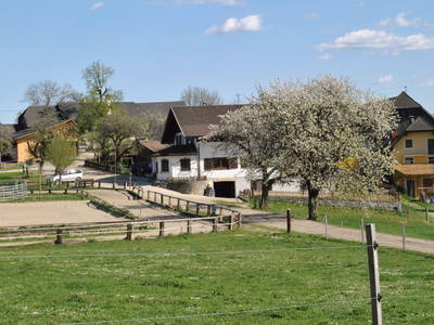 Bild 41 aus  Isländerhof Köck vlg. Kristanhof