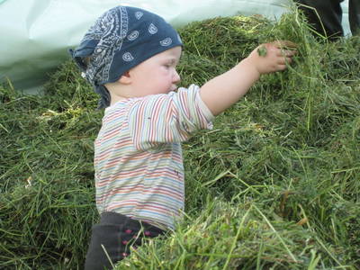 Bild 52 aus  Hoferhof