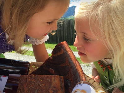 Bild 58 aus  Örglwirt's Gut in Örglwirt's Ferienwelt