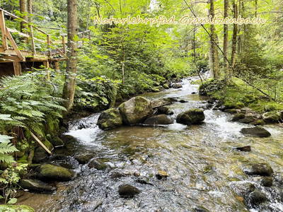 Bild 21 aus  Grosserhütte