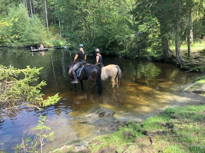 Bild 48 aus  Podolerhof - Hüttenurlaub