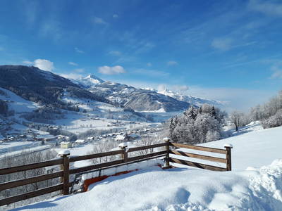 Bild 24 aus  Viehhofgut