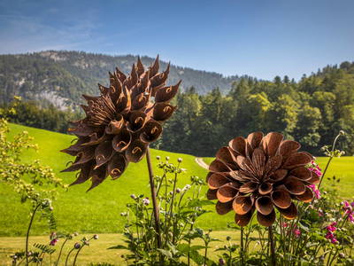 Bild 124 aus  Wohlfühlbauernhof Bambichlgut