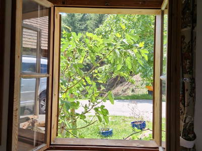 Bild 16 aus  Gsangerer