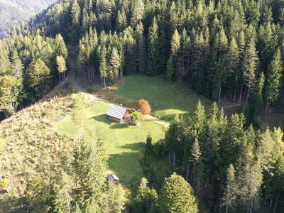 Bild 48 aus  Almhütte Meierle